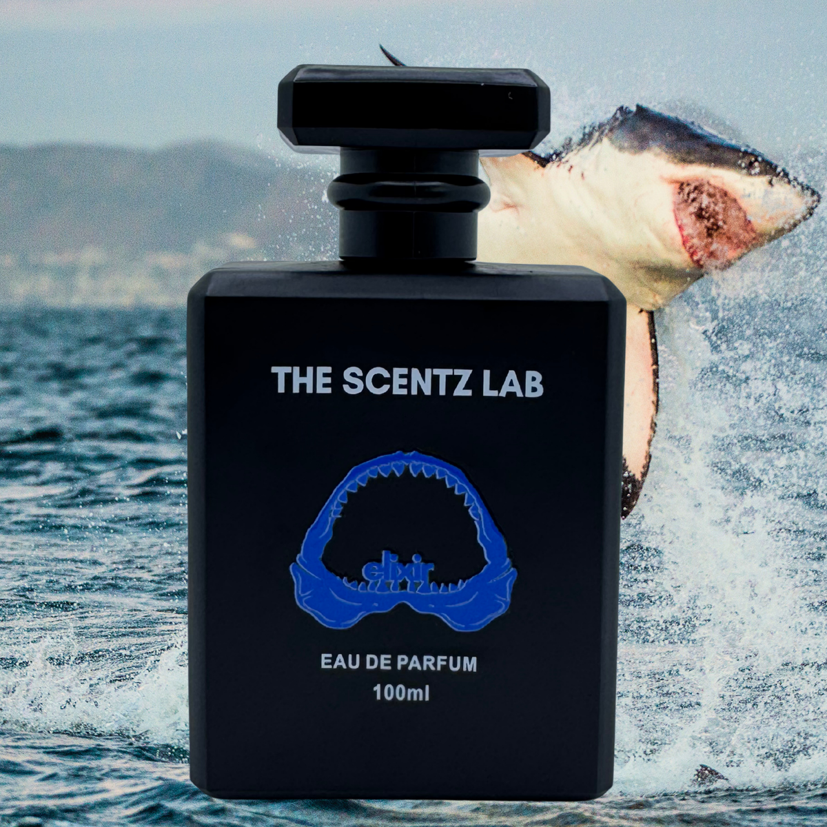 Inspired by SAUVAGE ELIXIR