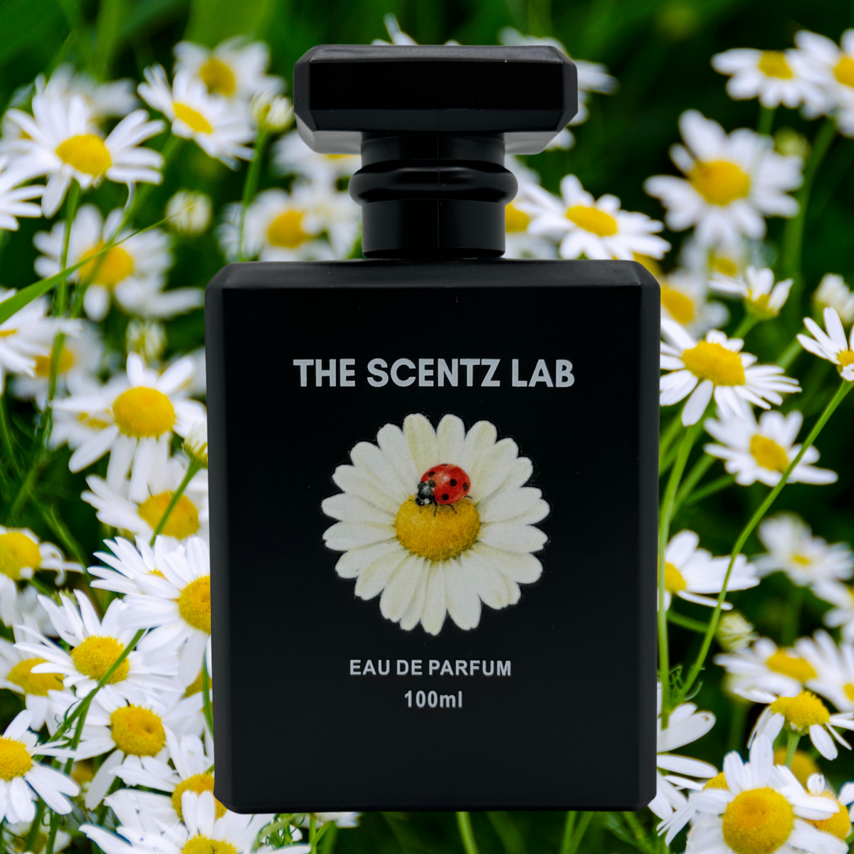 Inspired by Daisy by Marc Jacobs | THE SCENTZ LAB DESIGNER DUPE PERFUME